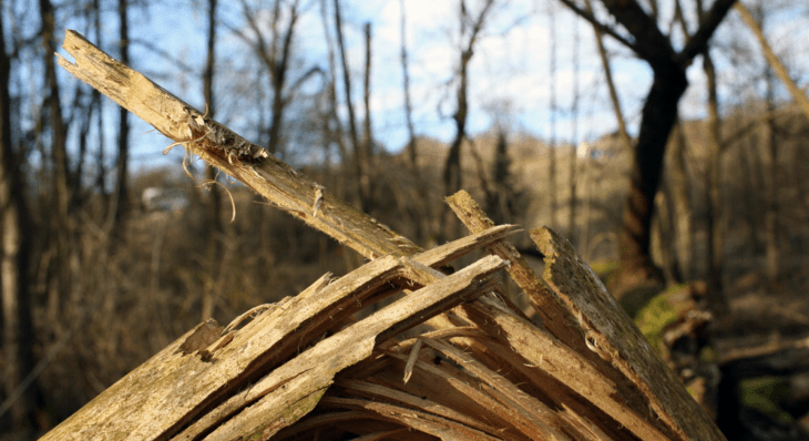 Screen Shot 2017-03-14 at 8.42.32 PM